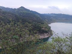 -武陵山森林公园