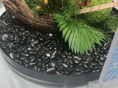 -同庆楼(奥体中心店)