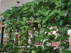 -拿渡·水煮鱼麻辣香锅(王府井奥莱·香江小镇店)