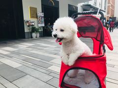 -Luneurs(幸福里店)