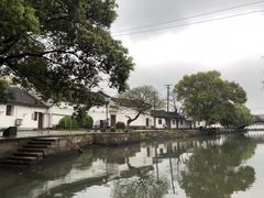 -状元楼(金溪路店)