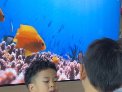 -抱抱地球咖啡馆(国家海洋博物馆店)