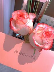 -英芬国际月子中心(岛屿度假月子·洲至奢选香岚店)