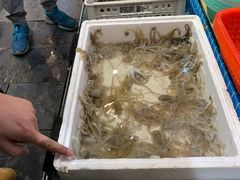 -鹰龙海畔度假酒店(咸祥店)