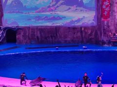 -华夏文旅海洋公园