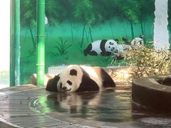 -天津市动物园