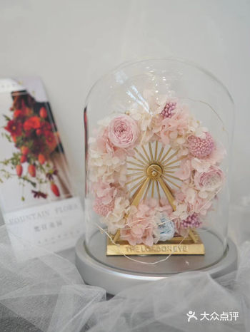 南风未起 我遇见你 南风微起 念你成疾