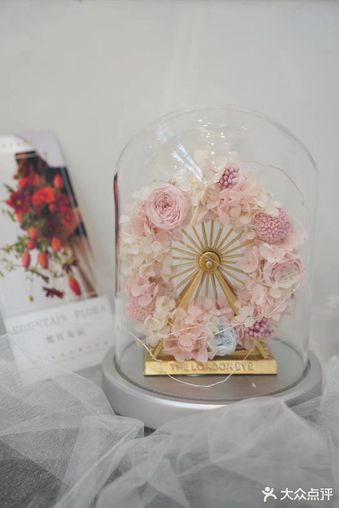 南风未起 我遇见你 南风微起 念你成疾