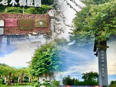 -老木棉·匠园