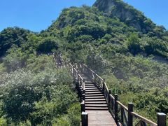 -大岭沟猕猴桃谷风景区