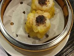 -糖朝(尖沙咀店)