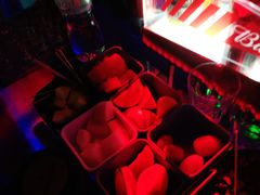 -苏荷酒吧(九街店)