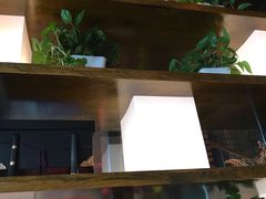 -千代武日本料理(爱建店)