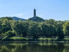 -北坞公园