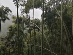 -径山寺