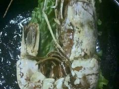 -韩阳王石板烤肉