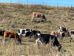 -呼和诺尔旅游景区