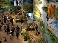 -自贡恐龙博物馆