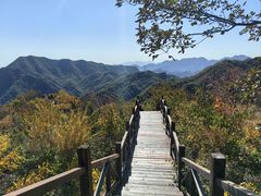 -大岭沟猕猴桃谷风景区