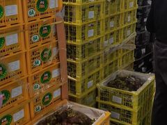 -东方鼎信农副产品交易中心