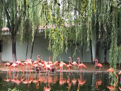 -石家庄市动物园