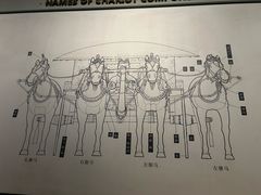 -秦始皇帝陵博物院-丽山园