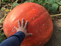 -天源吉布世温泉水乐园