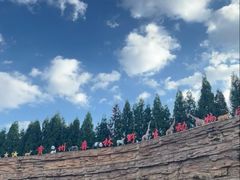 -贵州森林野生动物园