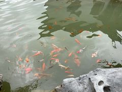 -芥子园