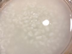 -龙眼南白粥六顺白粥