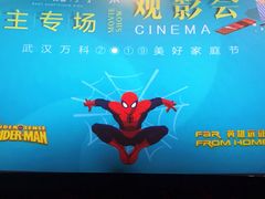 -武汉华夏国际影城(鲁广店)