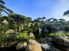 -罗红摄影艺术馆