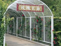 -太阳宫公园