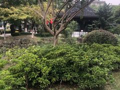 -花溪公园