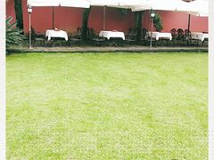 -翠园十八号庭院餐厅