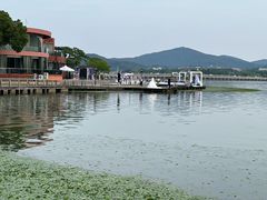 -水上明月·湖景餐厅