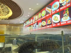 -顺德人家食府(黄金广场店)