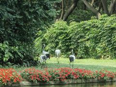 -广州长隆飞鸟乐园