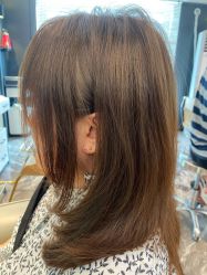 -藤野造型