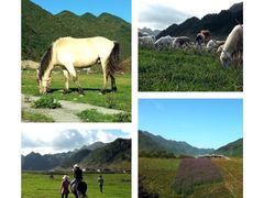 -重庆云阳龙缸景区