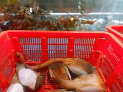 -焯明农庄(小榄店)