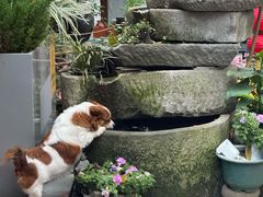 -老渔家鲜鱼轩(南浦横街店)