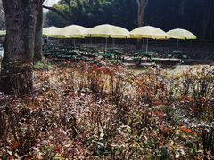 -绿野餐厅(上海动物园店)