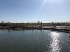 -东郊湿地公园