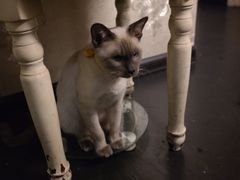 -吱咖啡西式简餐