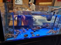 -千代武日本料理(爱建店)
