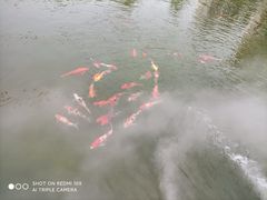 -天津市峰山药王古寺
