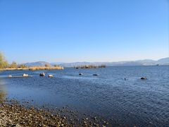 -洱海月湿地公园