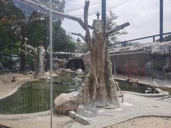 -荆州中山公园动物园