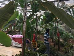 -兰陵国家农业公园